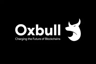 OxBull Tech, Launchpad on BSC; Where are her projects now?